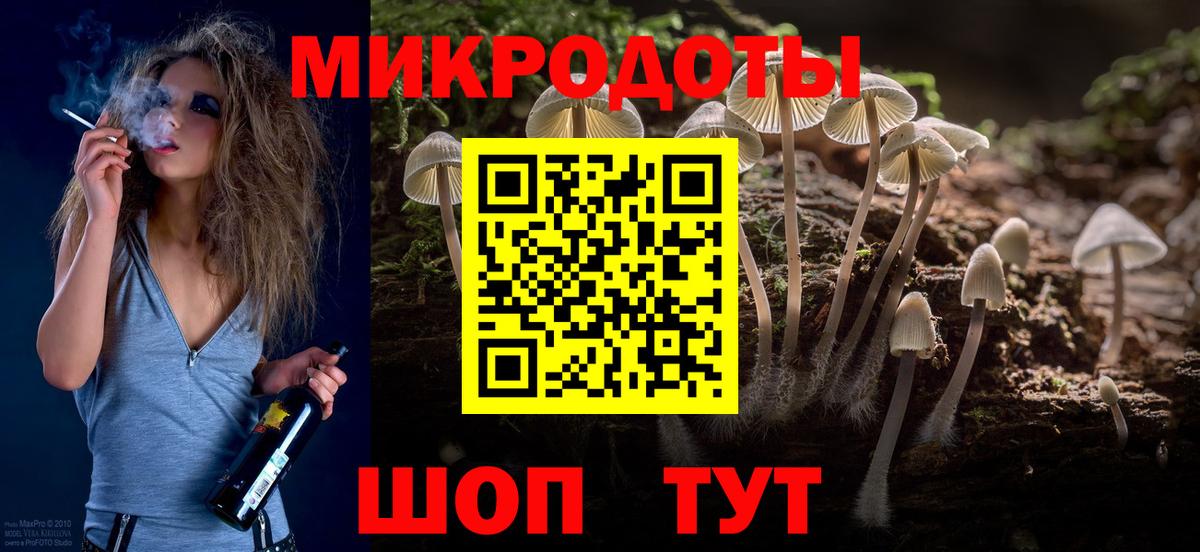 Псилоцибиновые грибы MAGIC MUSHROOMS  Вход с VPN  купить наркоту  Новоалтайск 